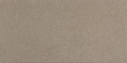 fRGV Плитка Sheer Taupe RT 80x160