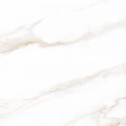 Calacatta Regal Gold Белый Матовый 80х80