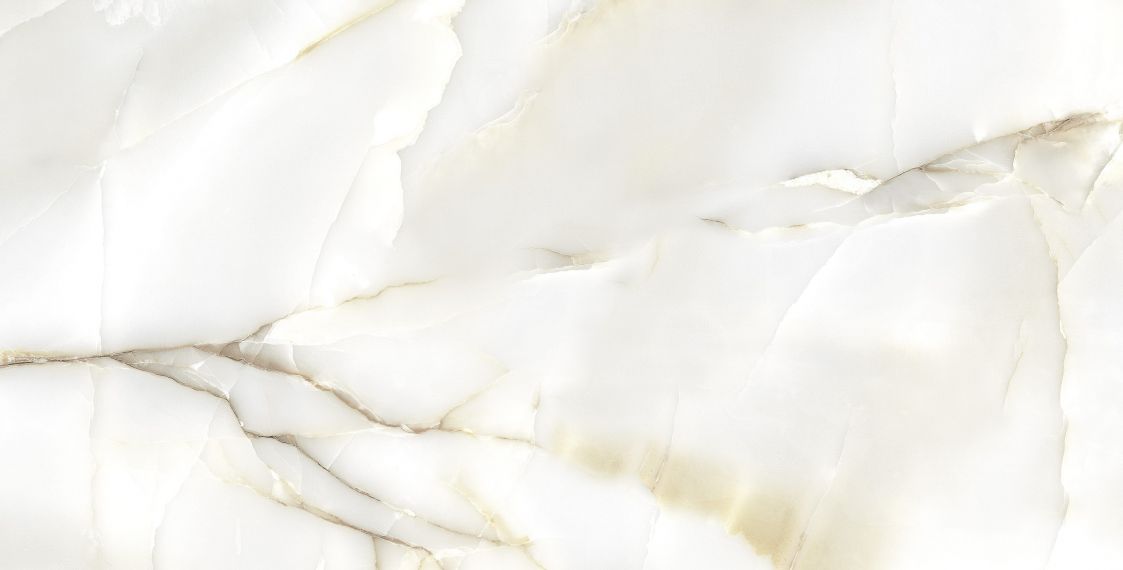 Primo Onyx Full Polished 60x120