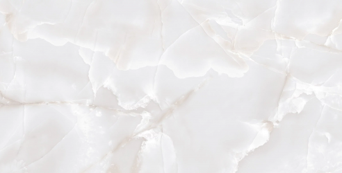 Primo Onyx Grey Full Polished 60x120