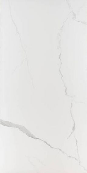 1009 MATT CALACATTA 60*120