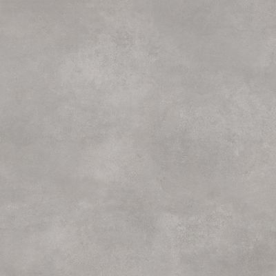 Concrete Courage Grey Серый Матовый 80х80