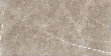 Swindon Mocha Polished 60х120