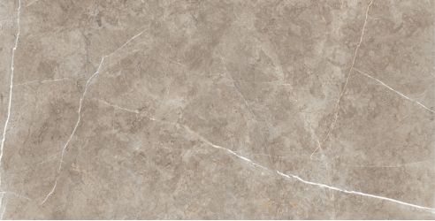 Swindon Mocha Polished 60х120