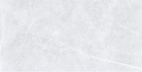 Swindon Grey Polished 60х120 