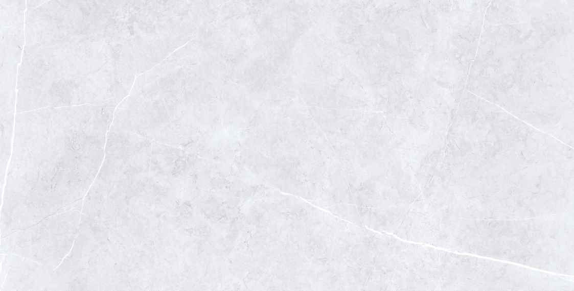 Swindon Grey Polished 60х120 