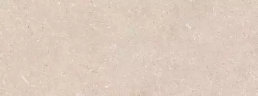 100330258 Caliza 45х120