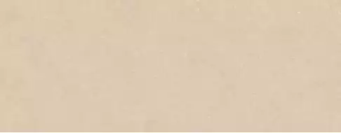 100354819 Плитка Terra Clay 59.6x150