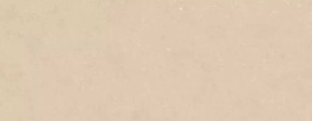 100354819 Плитка Terra Clay 59.6x150