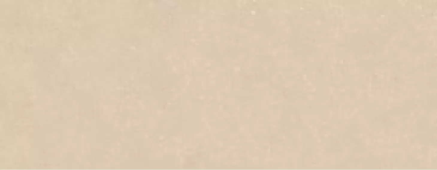 100354819 Плитка Terra Clay 59.6x150