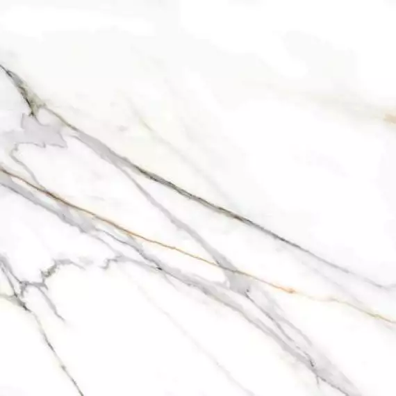 223527 Calacatta Gold White Pulido Rect 120x120