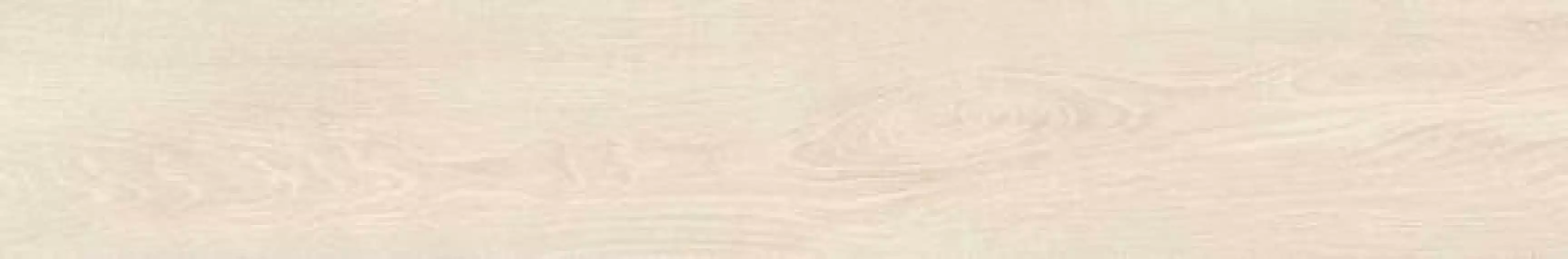 229259 Zaba Light 25х150