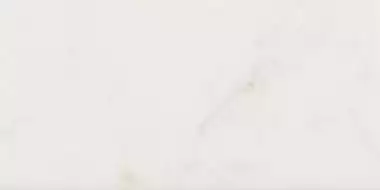 23079 Плитка Carrara Gloss 7,5х15