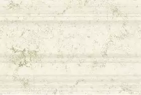 290 Плитка Цоколь Anika Natural 19x30