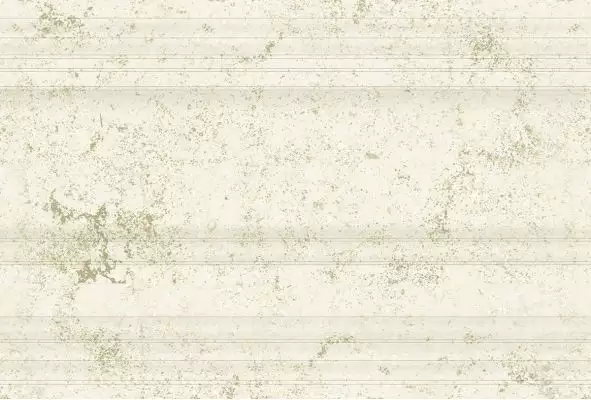 290 Плитка Цоколь Anika Natural 19x30