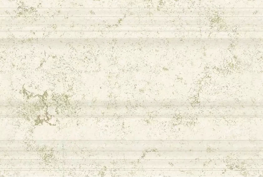 290 Плитка Цоколь Anika Natural 19x30