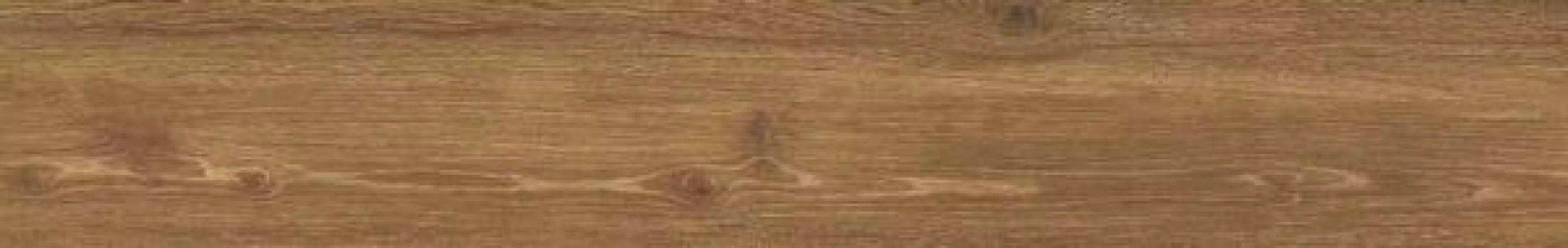 31601 Cigar AS 24x151