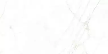 31741 White EP 60x120