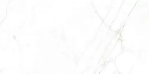 31741 White EP 60x120