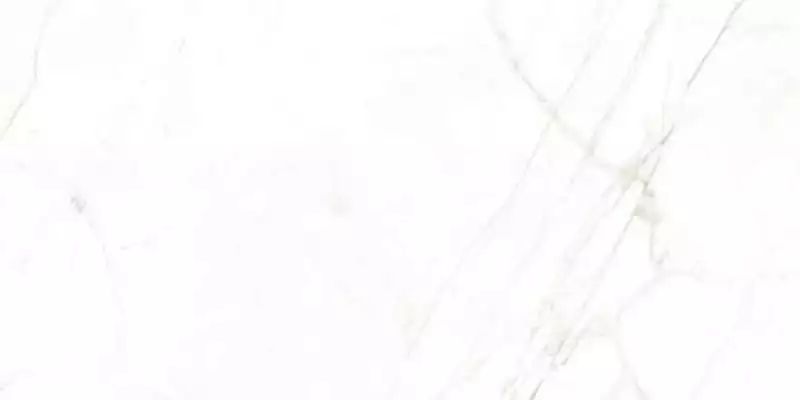 31741 White EP 60x120