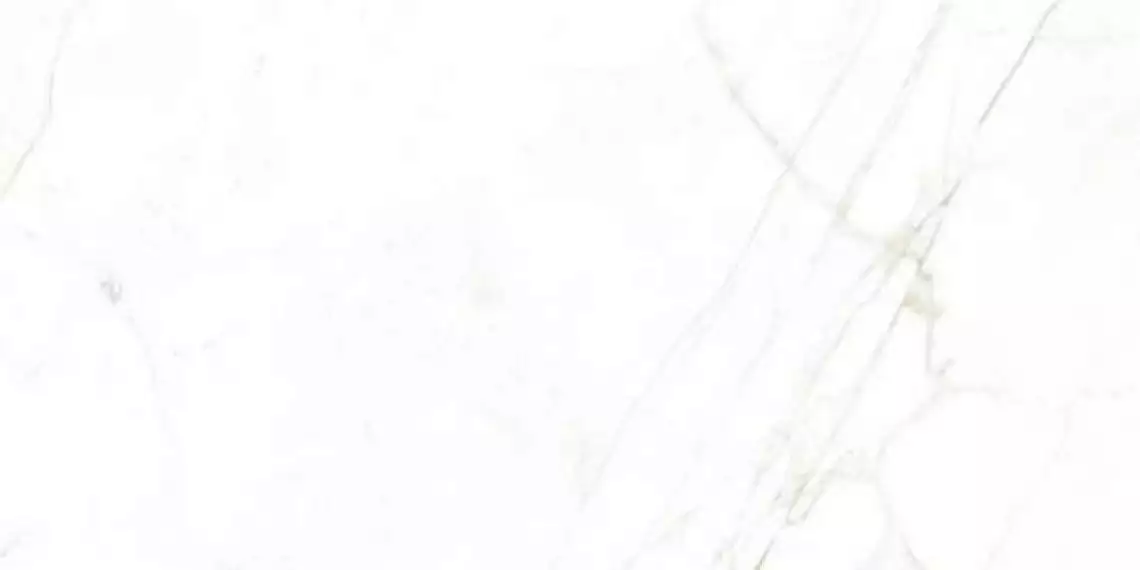 31741 White EP 60x120
