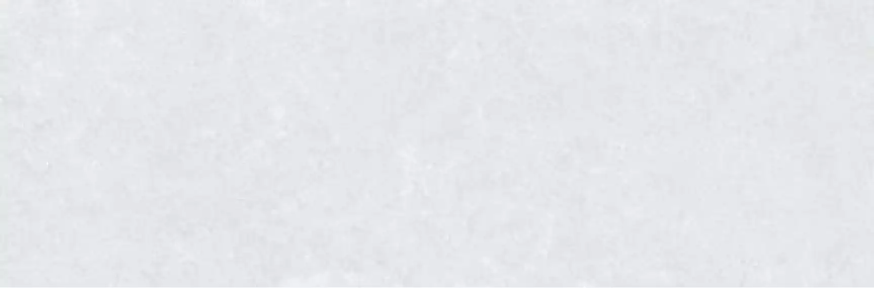31861 Ghent White 33,3x100