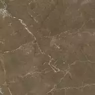Anubis Brown 44.7x44.7