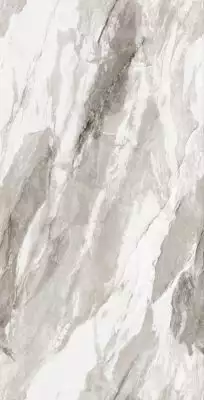 Bergen Polished Silver Carving 60x120