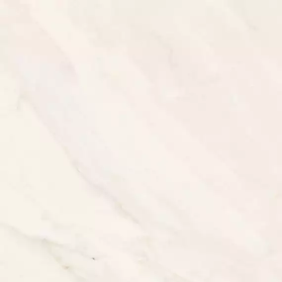 Bernini (S) 44.7x44.7