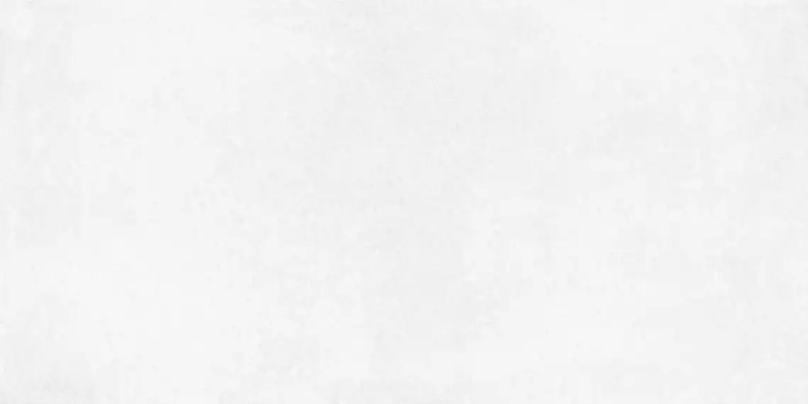 Betonica Blanco PRO светло-серый матовый R11Soft 60х120