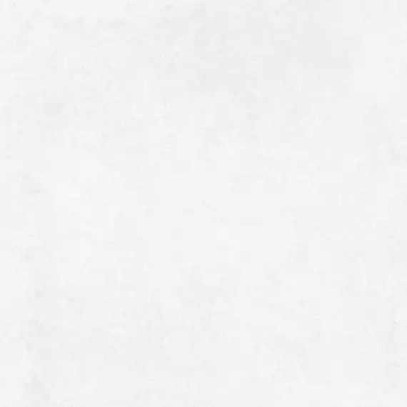 Betonica Blanco PRO светло-серый матовый R12Soft 60х60