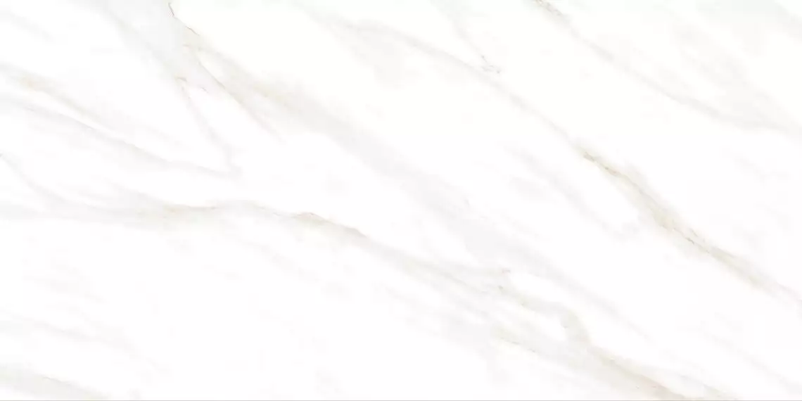 Calacatta Clarity Gold Белый Матовый 60х120