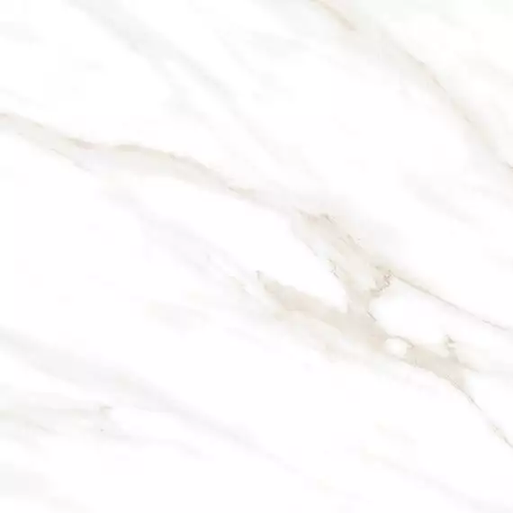 Calacatta Clarity Gold Белый Матовый 60х60
