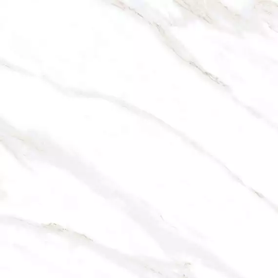 Calacatta Clarity Gold Белый Матовый 80х80