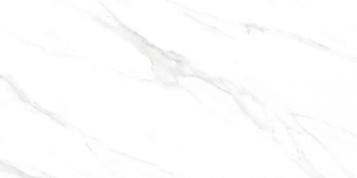 Calacatta Genius Белый Полированный 60х120