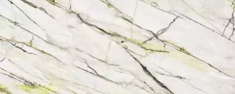 Calacatta Green Polished 120x300