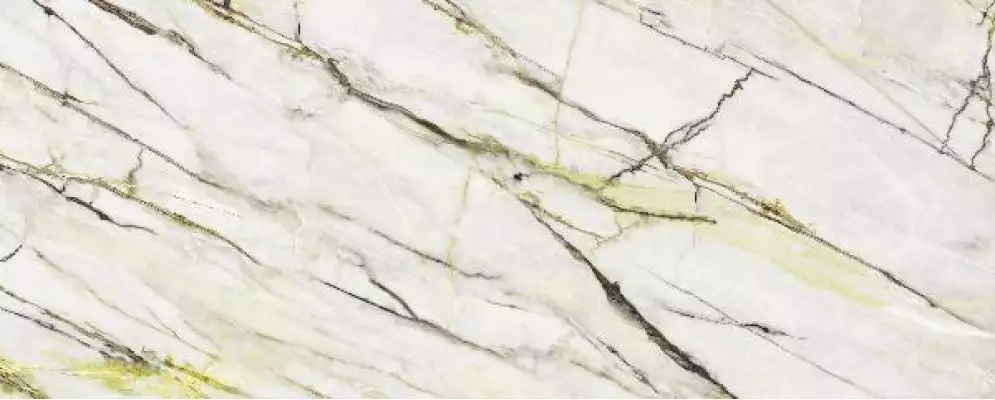Calacatta Green Polished 120x300