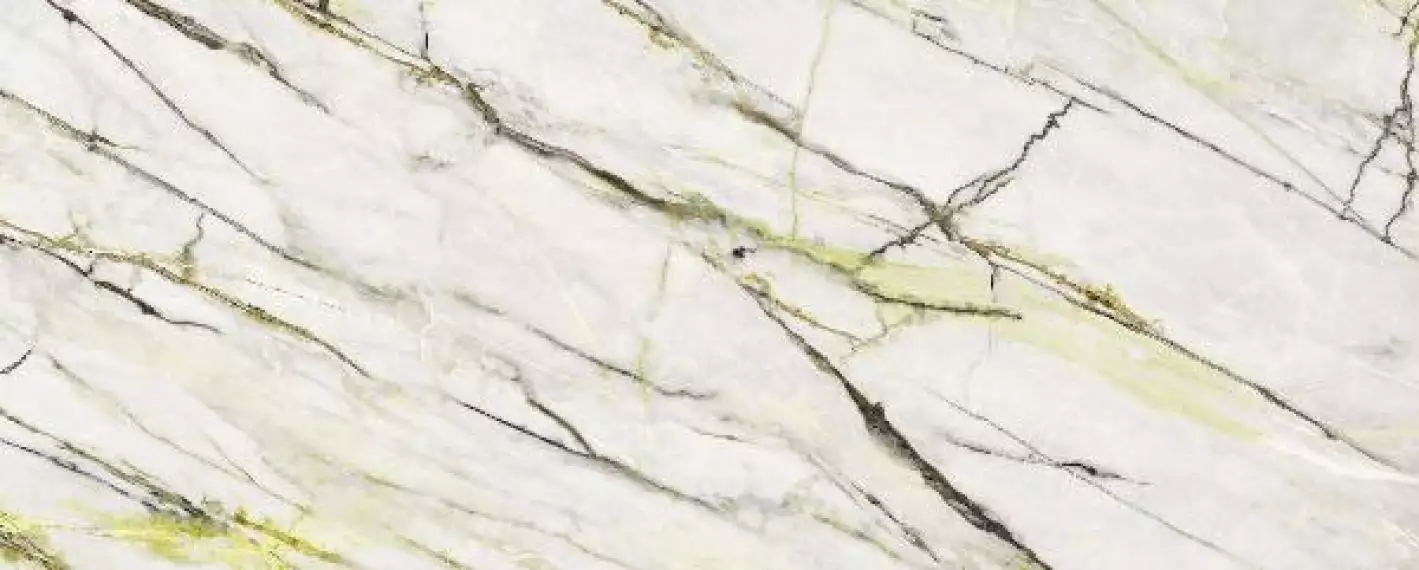 Calacatta Green Polished 120x300