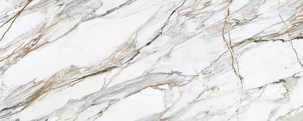 Calacatta Paonazzo Polished 120x300