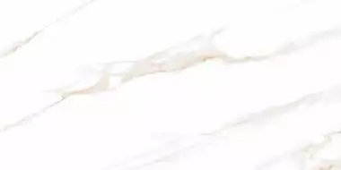 Calacatta Regal Gold Белый Полированный 60х120