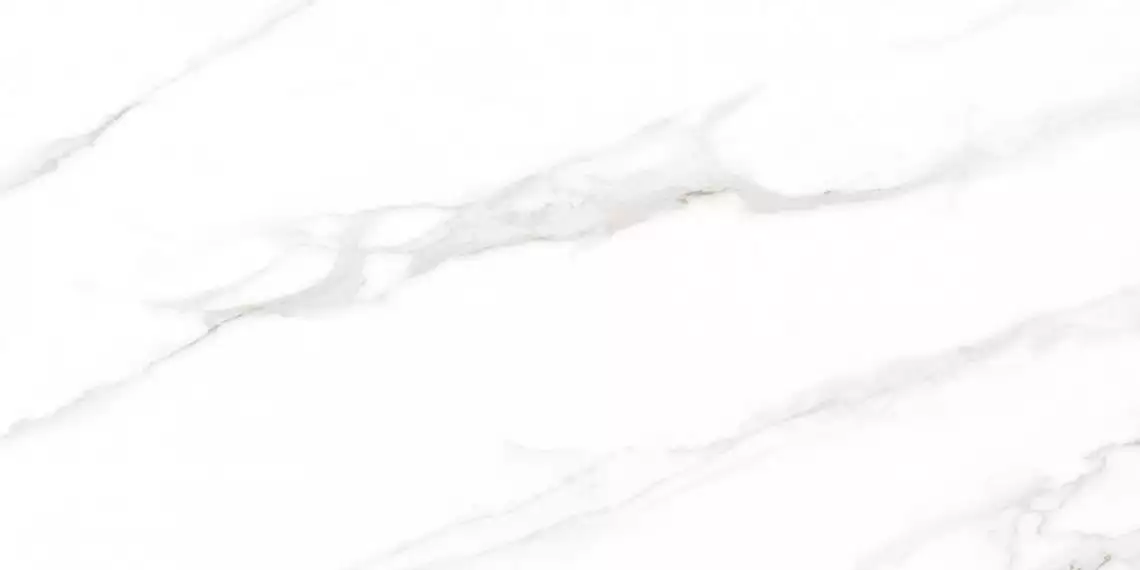 Calacatta Regal Grey Белый Полированный 60х120