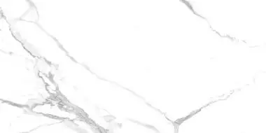 Calacatta Splendid Silver Белый Матовый 60х120