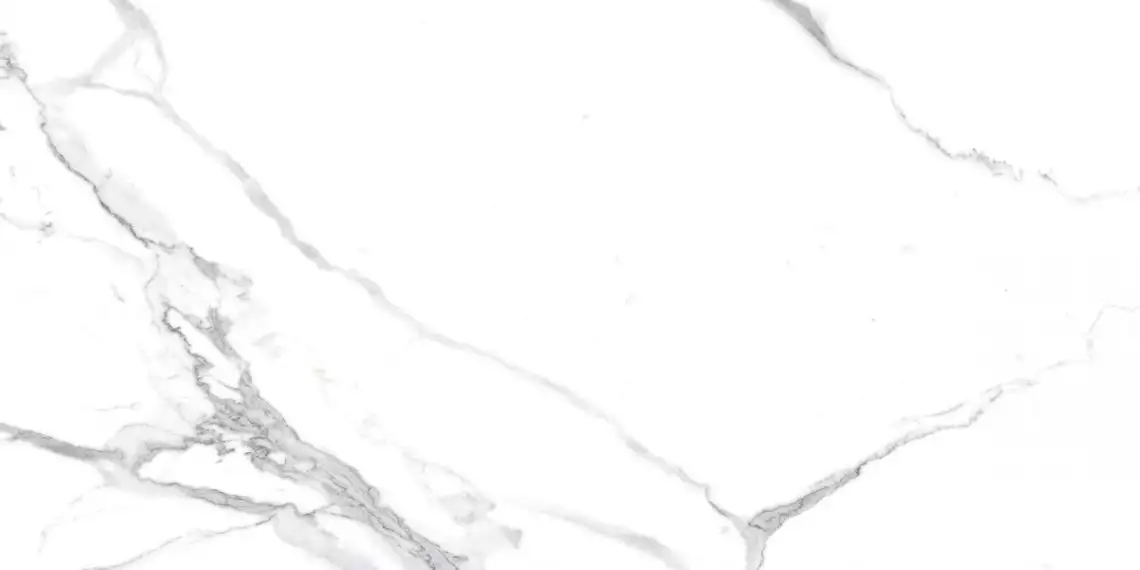 Calacatta Splendid Silver Белый Матовый 60х120