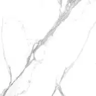 Calacatta Splendid Silver Белый Матовый 60х60