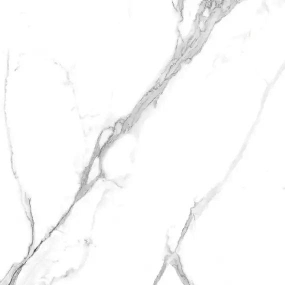 Calacatta Splendid Silver Белый Матовый 60х60