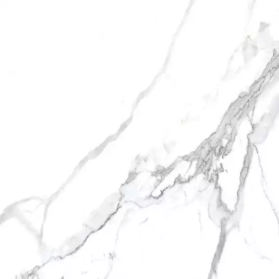 Calacatta Splendid Silver Белый Полированный 60х60