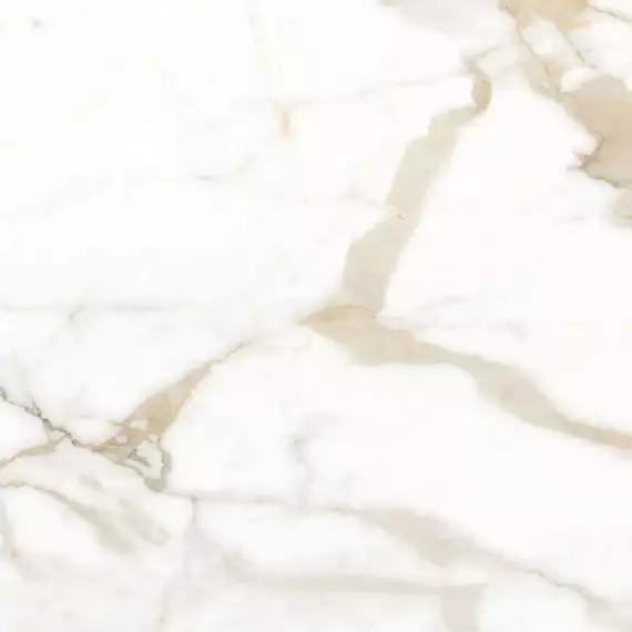 Calacatta Superior Белый Матовый 60х60