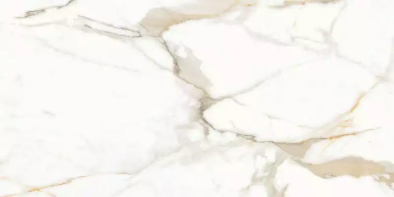 Calacatta Superior Белый Полированный 60х120