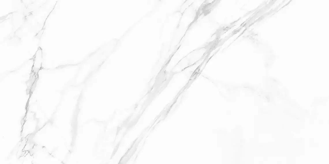 Carrara Blanco PRO белый матовый R10Soft 60х120