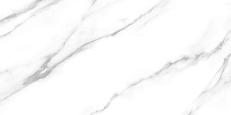 Carrara Dec B 60x120